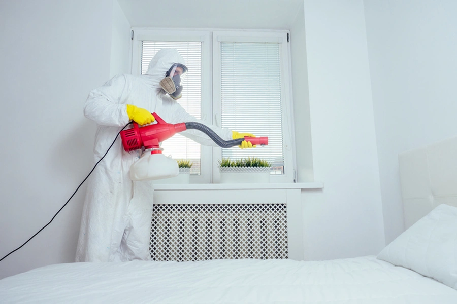 How To Prepare Your Home For Bed Bug Treatment Logan, OH How To Prepare Your Home For Bed Bug Treatment Logan, OH