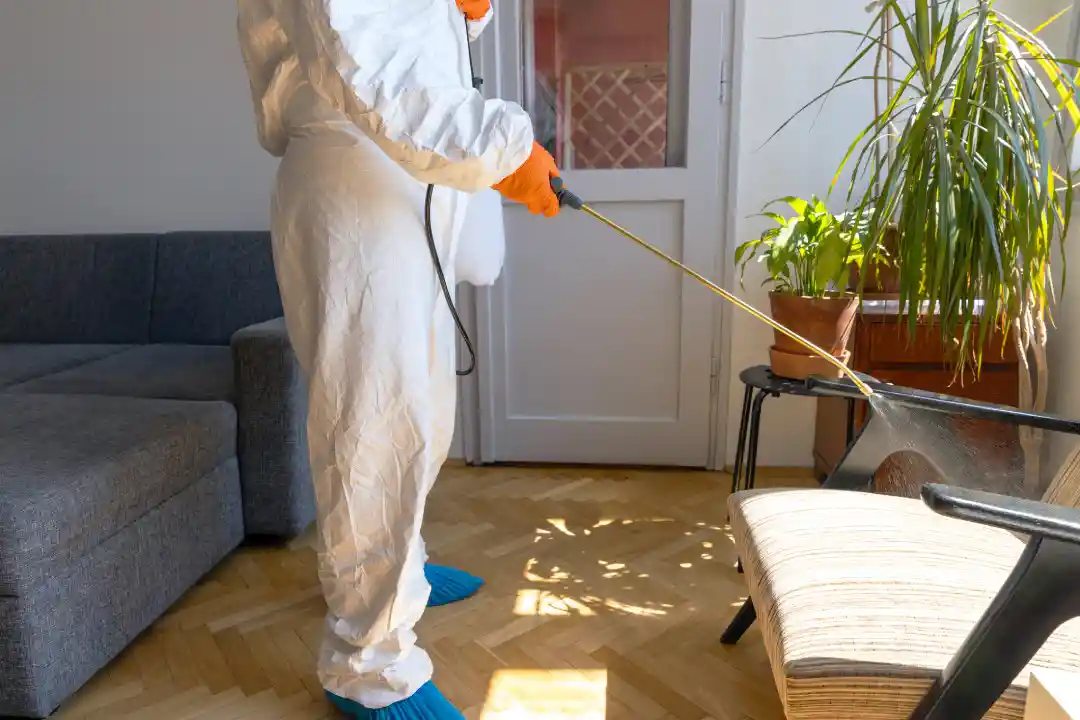 How to Prepare Your Home for Termite Removal in Logan, OH How to Prepare Your Home for Termite Removal in Logan, OH