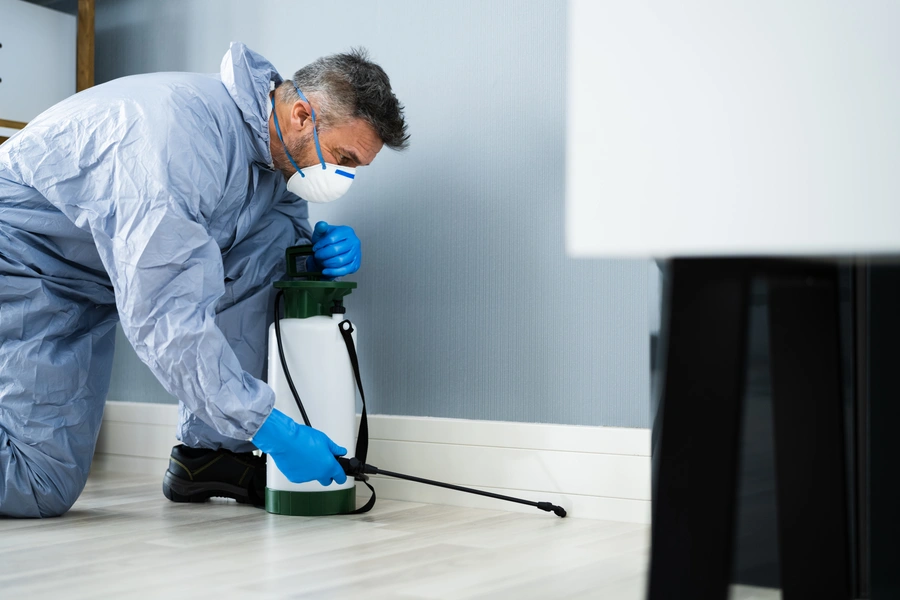 Professional Pest Inspection Logan, OH Professional Pest Inspection Logan, OH