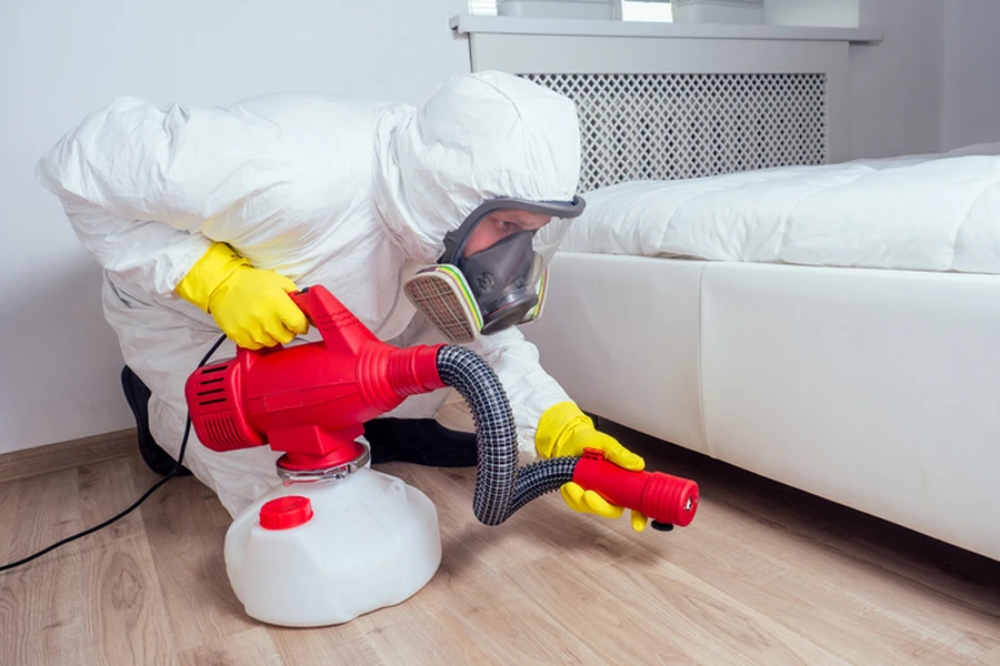 What To Expect During A Pest Control Service Visit in Logan, OH What To Expect During A Pest Control Service Visit in Logan, OH